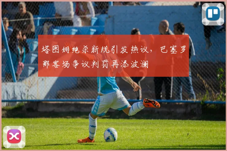 开云 相关文章